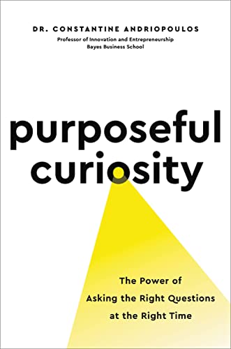 Purposeful Curiosity view 2