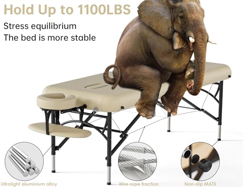 Image of CLORIS 84 inch Professional Massage Table 2 Section Portable Hold Up to 1100LBS