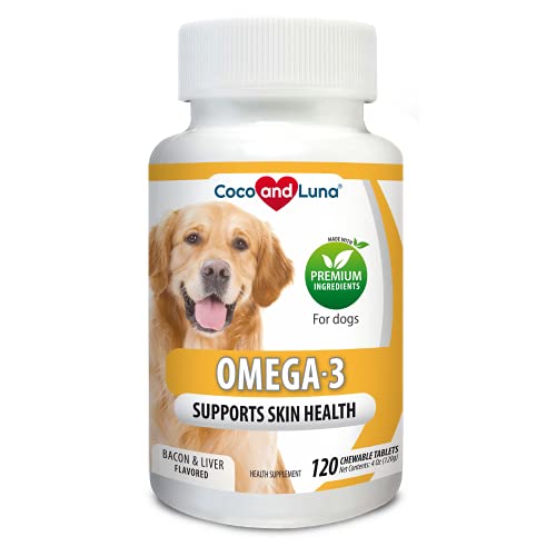 Dog Psoriasis Symptoms, Causes, Treatment and Prevention