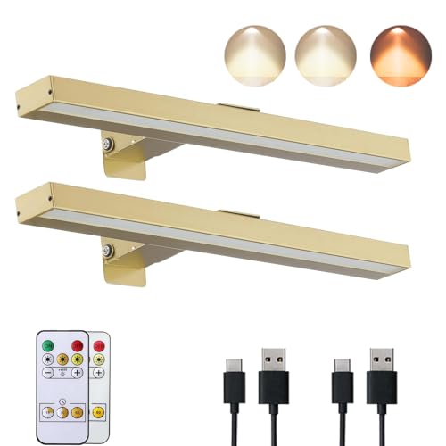 Lumière d'image sans fil rechargeable 16 pouces avec télécommande x2