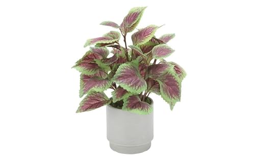 光の楽園 コリウスS[配送不可:北海道・沖縄・離島] インテリア 光触媒 人工植物 造花 フェイクグリーン 花 フラワー 清浄 消臭 浜松市