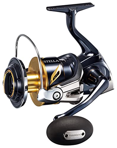 Top 7 Best Shimano Spinning Reel Reviewed for 2026 Top 7 Best Shimano Spinning Reel Reviewed for 2026