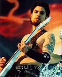Posterazzi Dave Navarro Shirtless On Stage Wearing Arm Sleeve Photo Print (8 x 10) - Item # MVM01641