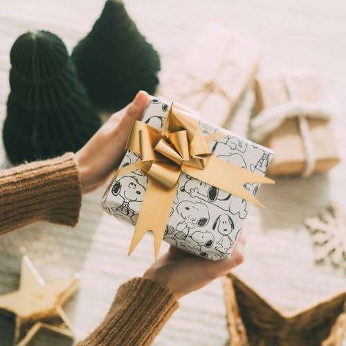 Grupo Erik Gift Wrap Set - Snoopy 2 Wrapping Paper Sheets, Paper Ribbon, Stickers - Birthday Wrapping Paper, Snoopy Gifts, Peanuts Snoopy Wrapping Paper