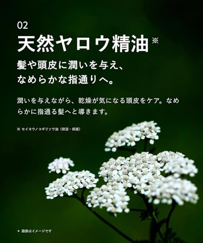 BOTANIST ボタニスト ボタニカル シャンプー トリートメント セット スムース フレグランスコレクション (ジョンマスターオーガニック監修)