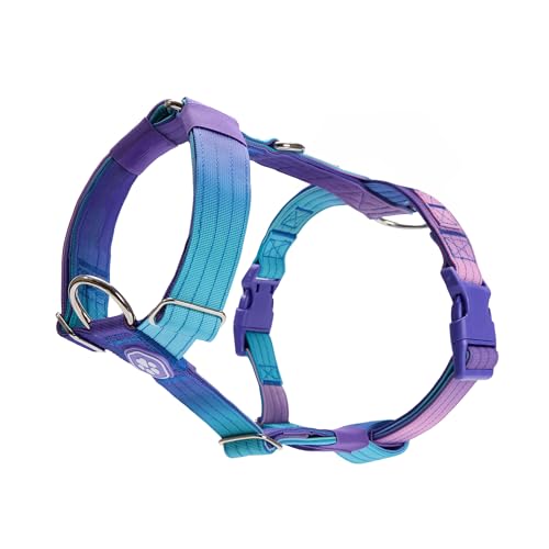 Spark Paws No Pull Hundegeschirr Grosse Hunde, Halterdesign mit Frontclip, Y Geschirr Hund, Robust und Strapazierfähig Harness für Große und Starke Rassen - 90s Retro, L