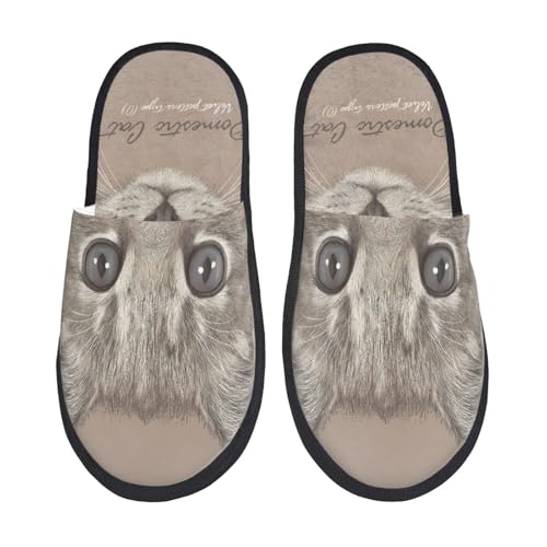 [zhandiffy] uE L [V[YXbp ÉᔽEpXbp L