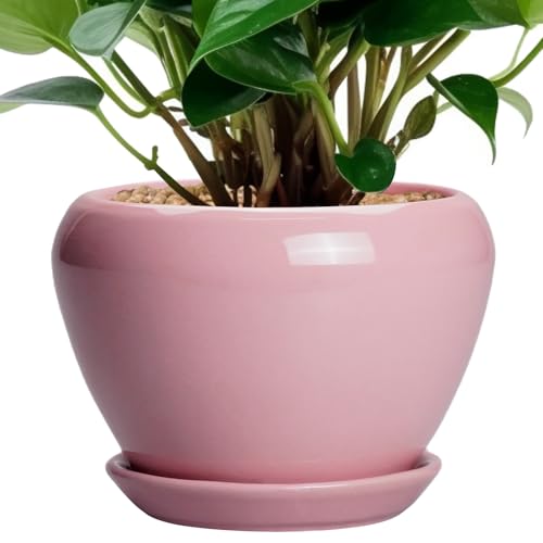 Ceramicfor 6 Inch Plant Pot - Ceramic Pot for Indoor Plants Glaze Modern Decorative Round Ceramic Planter with Drainage Hole and Saucer Plant Lover Gifts Home Garden Room Office Decor Pink