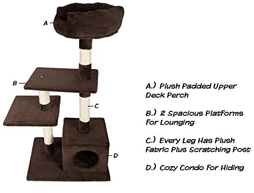 Torre para Gatos de 4 Niveles, con 3 Perchas y Rascadores miniatura 3