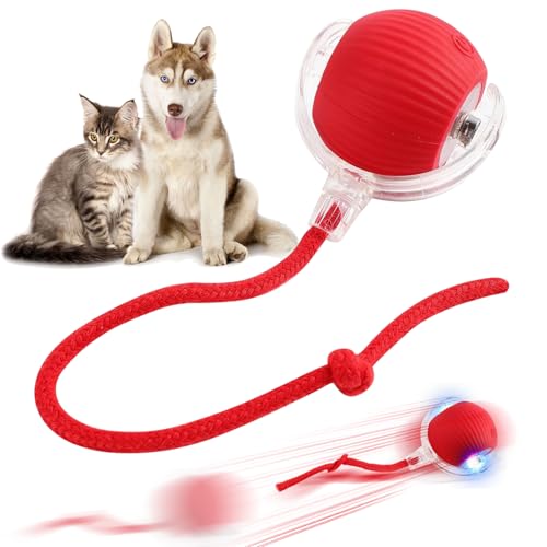 LETTERASHQP Katzenspielzeug Elektrisch Katzenball Elektrisch Elektronisches Interaktives Hundespielzeug Ball Katzenspielzeug Selbstbeschäftigung Smart mit Schwanz für Katzen Hunde (rot)