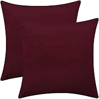 Vista 15 de Juego de 2 fundas de almohada de terciopelo para sofá y cama, 18 x 18 pulgadas, color aguamarina