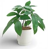 Rilmy（リルミー） フェイクグリーン 卓上 観葉植物 パキラ 造花 人工観葉植物 インテリア オシャレ インテリアグリーン ミニ フェイク 高さ33㎝ 鉢カバー付き ココファイバー付 3点セット (パキラ)