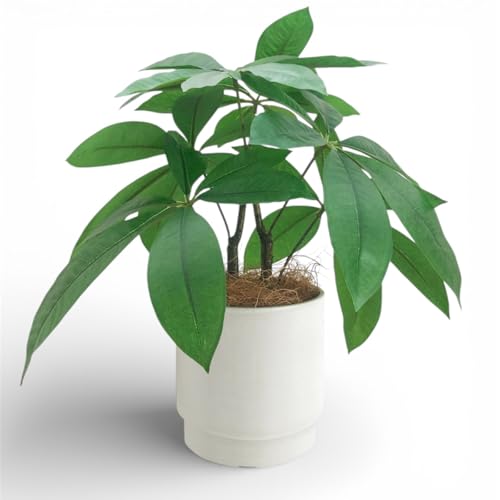 Rilmy（リルミー） フェイクグリーン 卓上 観葉植物 パキラ 造花 人工観葉植物 インテリア オシャレ インテリアグリーン ミニ フェイク 高さ33㎝ 鉢カバー付き ココファイバー付 3点セット (パキラ)