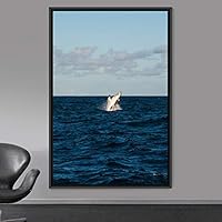 Framed Canvas Wall Art Fish on The Surface Bedroom Dolphin Marine Life Multicolor Nautical Photography - 16x24 inches