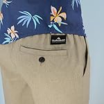 Quiksilver Boys Pull-on Amphibian Hybrid Shorts, Comfort Stretch Fabric, Water Friendly - Image 4