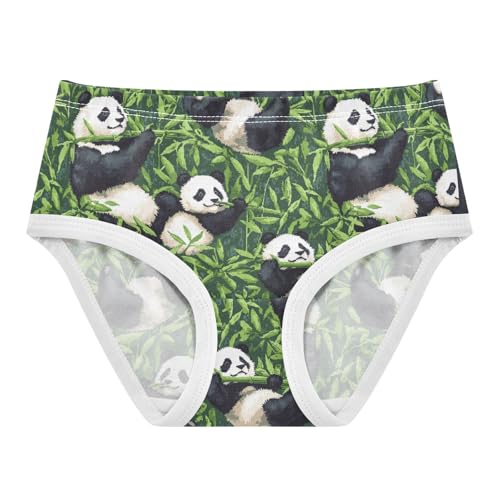 ZZKKO Panda Bamboo Green Girls Underwear Toddler Panties for Girls Comfort Brief Size 2-8T