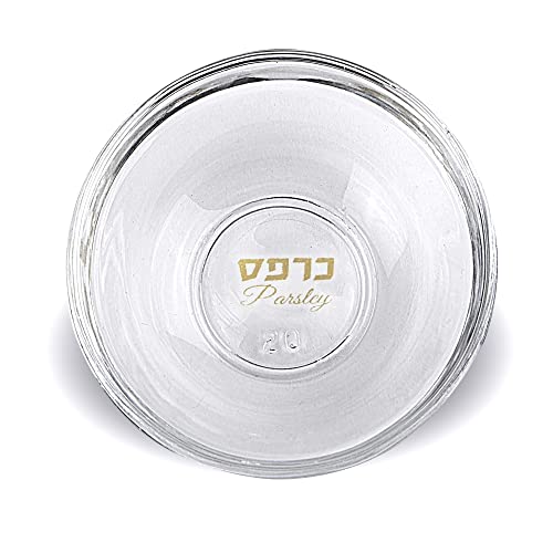 6 Passover Seder Plate Glass Dishes - Mini Seder Plates Liners With Hebrew And English Translation Passover Decorations Pesach Decor By Zion Judaica #TOP4