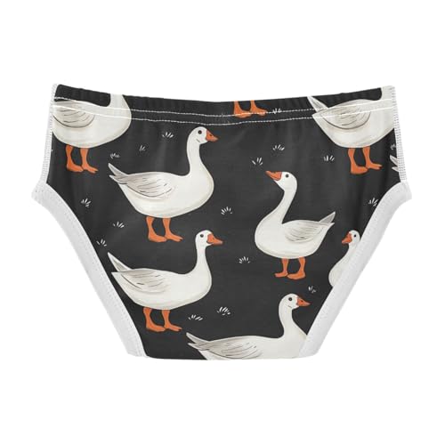 Wusikd Farm Animal Boys' Underwear Cotton Goose Duck Boys Briefs Soft Toddler Underwear 2T2