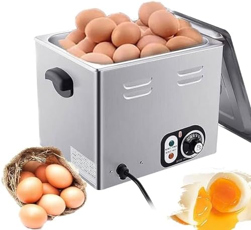 Commercial Hot Spring Egg Cooker, 2600W Electric Boiler with Easy Cleaning