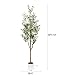 LuceAlberi 6FT Artificial Olive Tree - Indoor Tall Faux Olive Trees with Planter&Basket, Large Fake Olive Silk Tree Realistic Olive Plants with Branches and Fruits for Home Decor Office Living Room