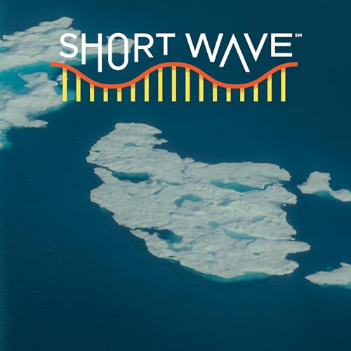 What Space Dust Reveals About Earth's Ice Age Podcast Por  arte de portada