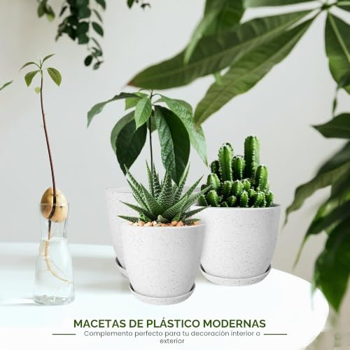 Miniatura 4 de Utopia Home Paquete De 10 Macetas 18 17 15 13 12 Cm Maceta Con Platillo Para La Cocina, Balcón, Plantas De Jardín, Macetas De Vivero De Interior Gris Moteado.