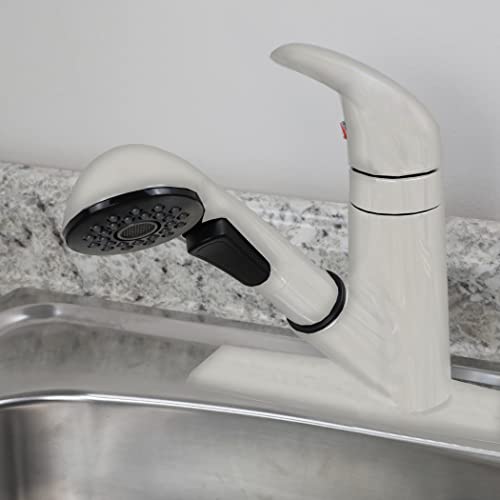 Danco 10415 Kitchen Center Pullout Spray Head, White #TOP3