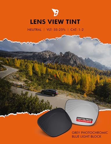 Image of PRO+ Polycarbonate Replacement Lenses for Oakley Frogskins OO9013 Sunglasses