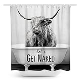 Coxila Highland Cow Bull Shower Curtain Get Naked Grey Western Farmhouse Funny Cute Modern Fashion 60 x 72 Inch Polyester Fabric Waterproof 12 Pack Plastic Hooks