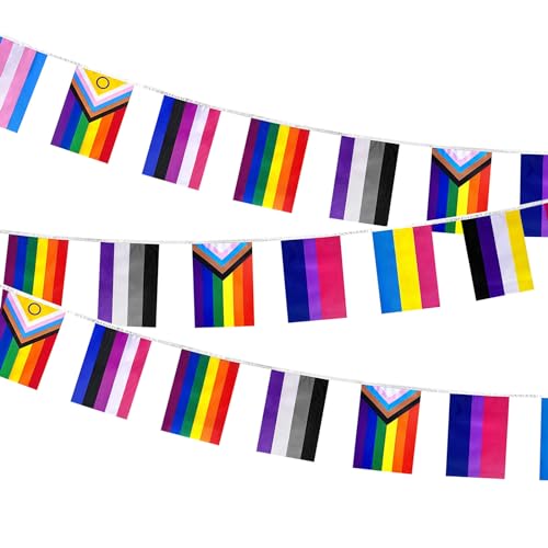 iwiio 33ft Pride Bunting Flags Progress Gay Pride Flag Banner Rectangle Colorful String Banner for Pride Accessories Gay LGBT Party Celebration Home School Bars Restaurants Garden Decoration