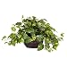 Nearly Natural 6681 15in. Pothos with Decorative Vase Silk Plant