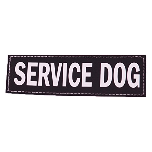 Ezydog Side Badge - Clearly Identifies Your Dog When Wearing The Convert Dog Harness - Set Of Two Badges (Service Dog, Large) #TOP2