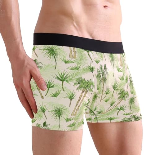ZZKKO Coconut Palm Tree Mens Boxer Briefs Underwear Breathable Stretch Boxer Trunk With Pouch S-XXL2