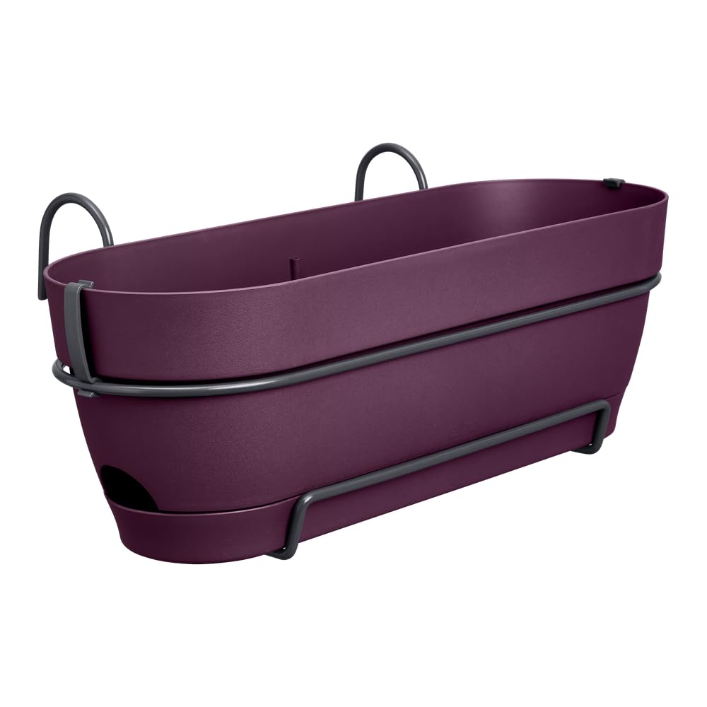 elho Vibia Campana Balkonkasten Allin 1 50cm - Ahorn Lila | L 26 x B 50.4 x H 17.7 cm | Integrierter Untersetzer | 100% recyceltes Plastik