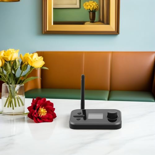 Receptor Inalámbrico de Audio contra Interferencias con Entrada Óptica 5