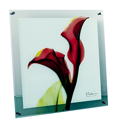 ユーパワー 植物 花 レッド W30×H30×D2cm