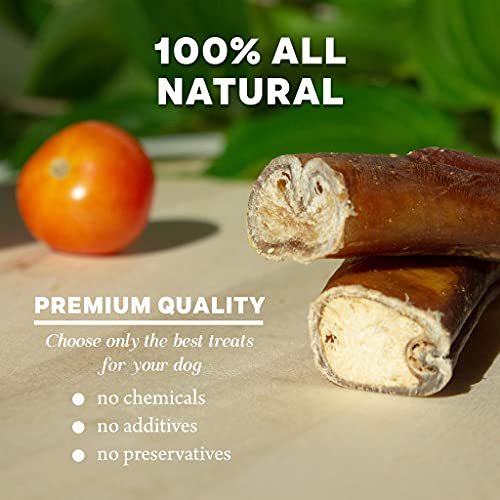 Downtown Pet Supply 6 Inch 5 Pack Of Jumbo Extra Thick Bully Sticks For Large Dogs, Single Ingredient, Rawhide-Free Long Lasting Bully Sticks For Medium Dogs- Alternative Chew Bones For Medium Dogs #TOP2