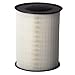 ECOGARD XA6149 Premium Engine Air Filter Fits 2012-2018 Ford Focus, 2013-2019 Escape, 2015-2019 Lincoln MKC, 2014-2016 Ford Transit Connect