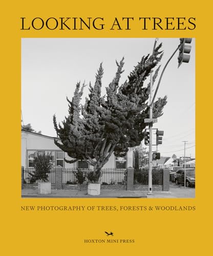 Looking At Trees: New Photography Of Trees, Forests And Woodlands