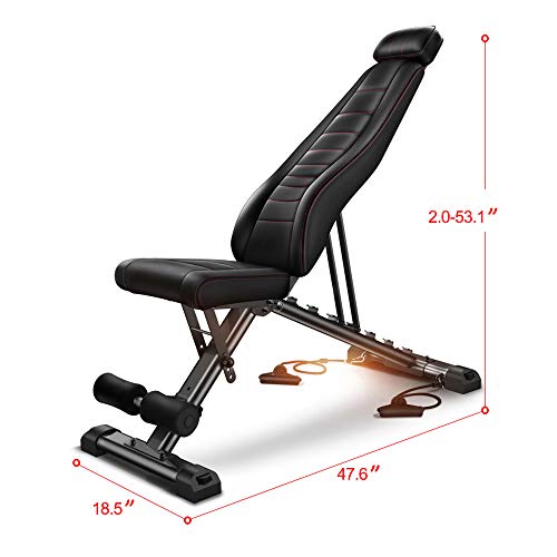 Adjustable Weight Bench Full Body Workout Foldable Incline Decline Exercise Workout Bench for Home Gym