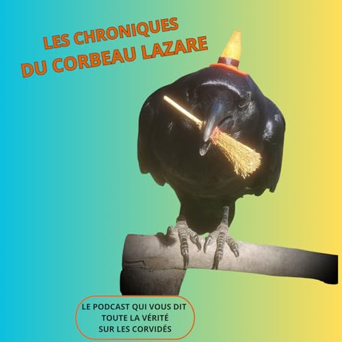 Les corbeaux : mauvais augures ou messagers ?