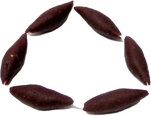 Melody Jane Dollhouse String of Sausages - Accesorio de cocina en miniatura