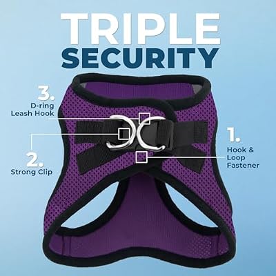 Best Pet Supplies - All Weather Mesh/Plush, Reflective, No Pull Harness for Small, Medium Dogs, Cats - Secure with Hook & Loop Fastener, Buckle, Double D-Rings - Purple/Black Trim, S