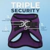 Best Pet Supplies Voyager Step-in Air Harness - All Weather Mesh, Reflective, No Pull Harness for Dogs, Cats - Secure with Hook & Loop Fastener, Buckle, Double D-Rings - Purple/Black Trim, M #1
