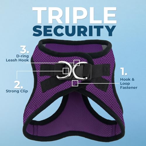 Image of Best Pet Supplies Voyager Step-in Air Harness - All Weather Mesh, Reflective, No Pull Harness for Dogs, Cats - Secure with Hook & Loop Fastener, Buckle, Double D-Rings - Purple /Black Trim, XS