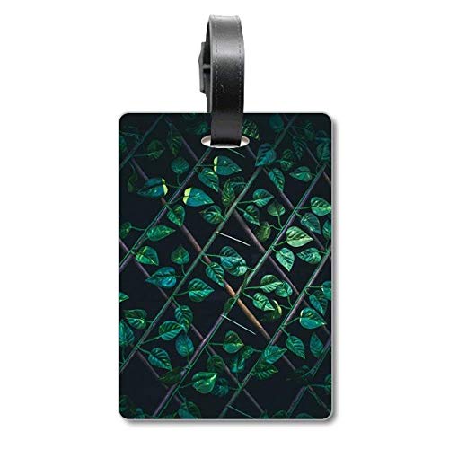 Étiquette de valise motif feuilles Dewdrop accessoire sac voyage voyageur