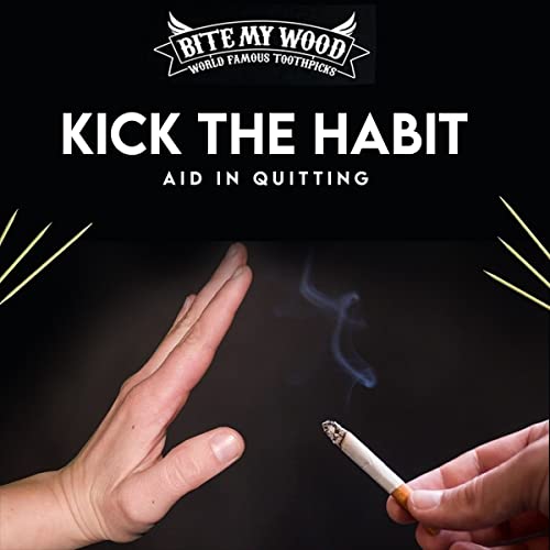 Bite My Wood Cinnamon Toothpicks - Infused 3 Times Flavor Toothpicks May Aid In Quit Smoking, Zero Calories Keto Friendly, May Help Curb The Urge When Dieting - 100 Count (Cinnamon)