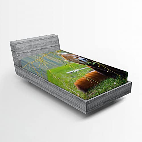 Ambesonne Panda 2 Pack Fitted Sheet, Wild Animal on The Meadow, Bed Cover All-Round Elastic Deep Pockets 2 Pieces, Package Contains 2 Twin XL Size Fitted Sheets, Green Cinnamon