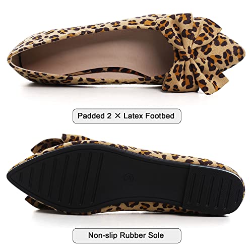 Image of Dear Time Women's Ballet Flats Dress Ballet Shoes Slip on for Office Work Comfortable Shoes