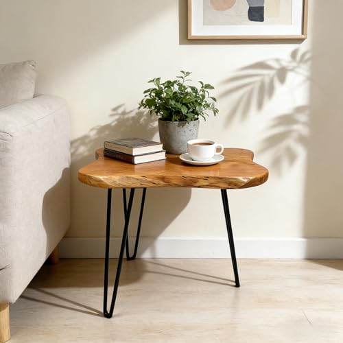 DONZIKLE Live Edge Side Table, Solid Wood End Table with